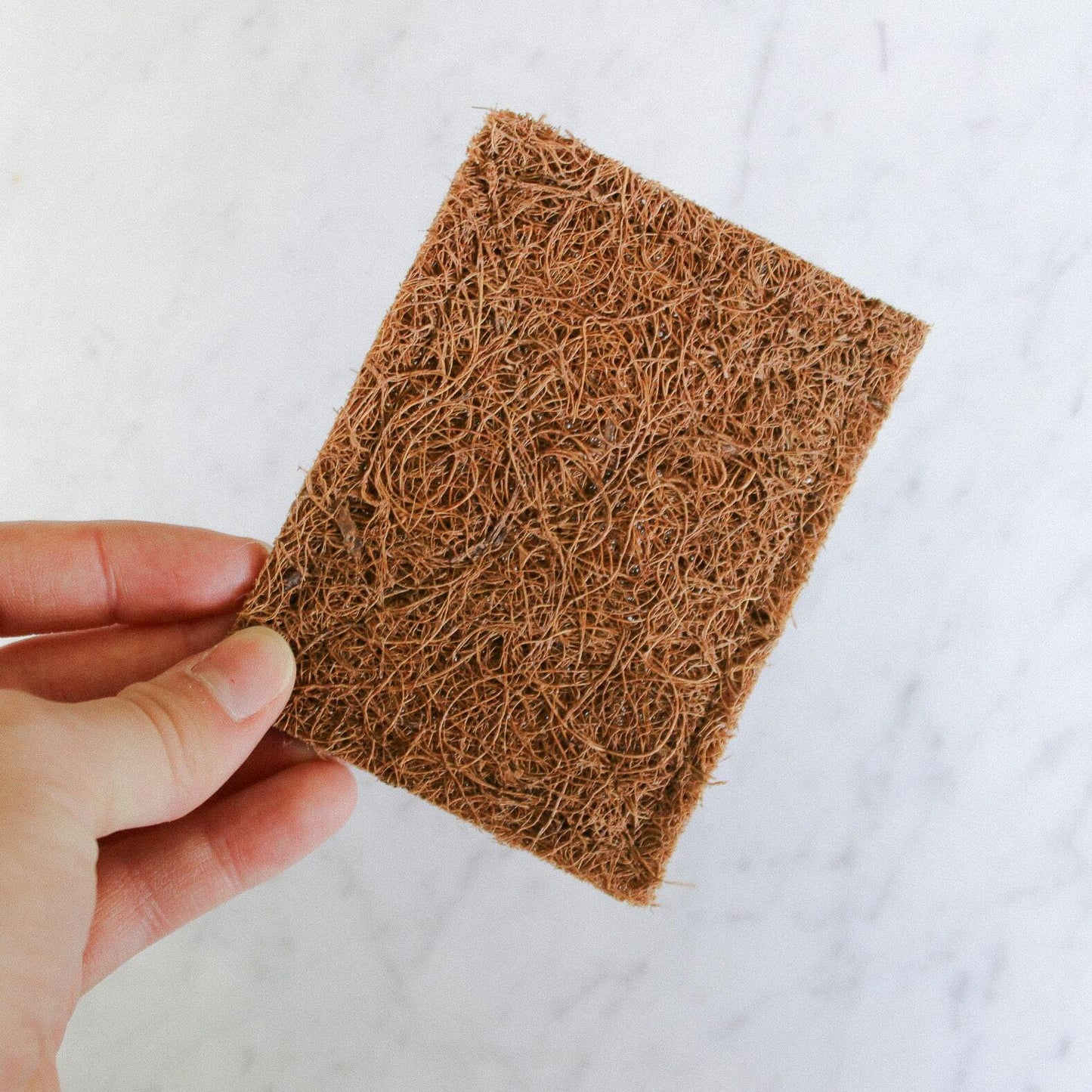 Coconut scrub pad Pack of 4