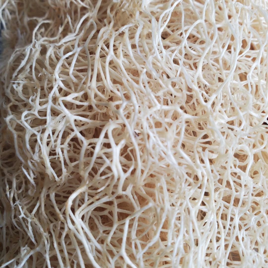 Loofah scrub pads pack of 2